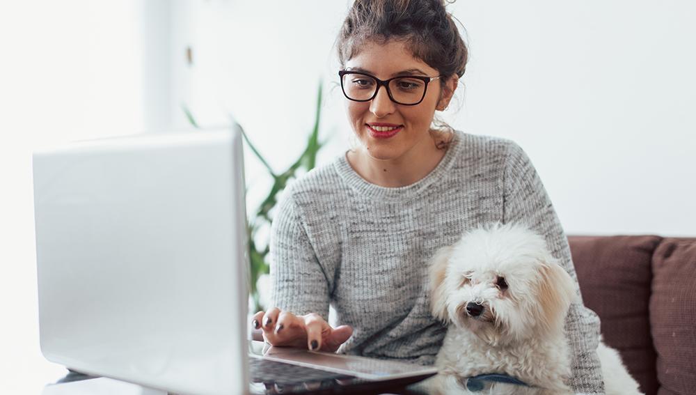 Der A1 Powerline WLAN Adapter A1 Blog