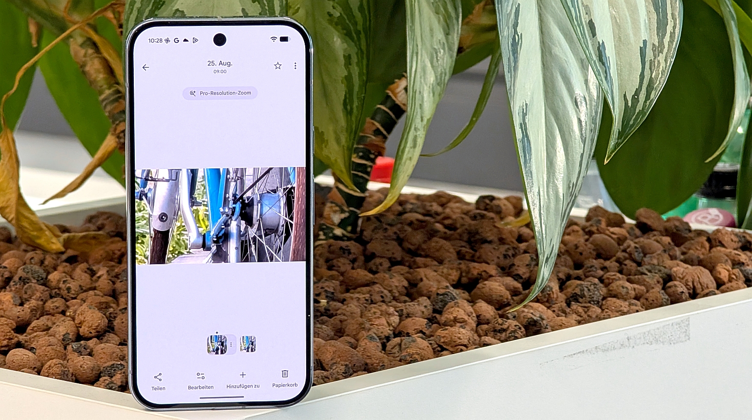 Pixel 10 Pro Smartphone vor einer Pflanze